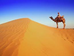 1920 x 1208, 233 kb. Desert Camel Wallpapers Top Free Desert Camel Backgrounds Wallpaperaccess