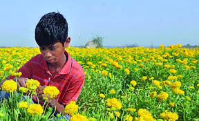 Andhra Pradesh Now Hopes For A Blossoming Future