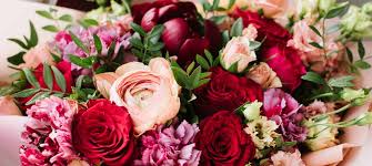 Take note of the size of the plant and. Flowers For You Buxton Florist Order Online Or 01298 26200