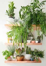 99 Great Ideas To Display Houseplants Indoor Plants Decoration Plants Houseplants Indoor Indoor Gardens