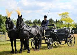 Convertible Dark Victoria Carriage ...
