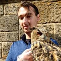 Michelle Enlow's Instagram, Twitter & Facebook