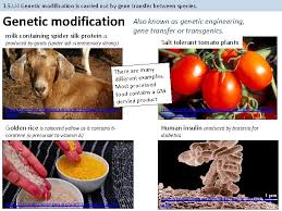 The following example code shows how to modify and inspect packets with wfp. 3 5 Genetic Modification And Biotechnology Essential Idea