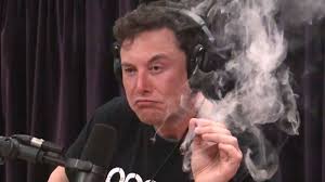 Elon musk also responded to miley cyrus' angry reply to his hannah montana meme post for hacktivist group 'anonymous'. The Best Elon Musk Smoking Weed Memes Know Your Meme