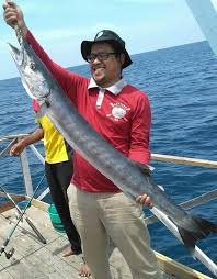 Ikan target hari inj gagal di dapat karena ada ikan barakuda yang selalu mengganggu ikan baby gt yang mau makan umpan udang. Ikan Barakuda