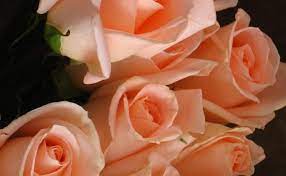 It also may appear tacky to suggest how survivors should specifically express their support financially. In Lieu Of Flowers Five Alternative Expressions Of Sympathy Chapel Ridge Funeral Home And Cremation Centre Serving Markham Richmond Hill And The Surrounding Gta