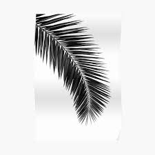 You'll need to take this pattern to a print shop or find a way to get it enlarged to fit your project area. Palm Leaf Posters Redbubble