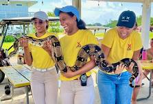 Snakes, Lizards & Frogs - Oh My!