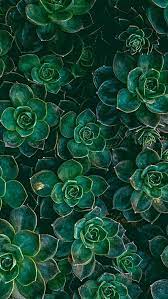 Change your desktop or phone's wallpaper along with the seasons, just like you do with your altar's cloth. The Sustainable Witch Green Aesthetic Dark Green Aesthetic Dark Green Wallpaper