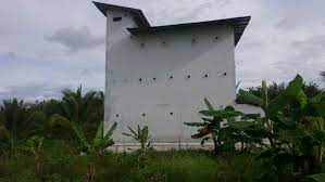 Selain itu, sarang burung walet juga mampu merangsang nafsu makan serta melancarkan sistem pencernaan. Jual Jasa Membuat Rumah Sarang Burung Walet Di Lapak Casper Store Bukalapak