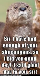 You Have Offended Me Sir In 2021 Good Day To You Good Day Sir Otters