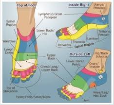 reflexology map of the top of your foot reflexology foot