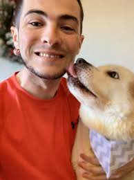 Transport needed for injured osprey in Matagorda