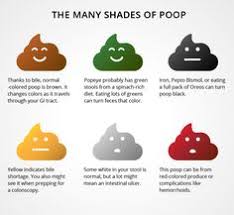 Why use a cat stool chart? Poop