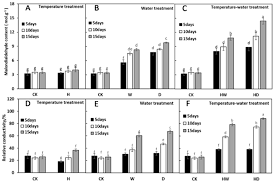 Image result for Aeollanthus repens
