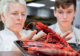 Northcote Issue 14 2024/25 by Live_Magazines