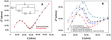 A) EIS response of IDE-Au electrode and its electronic circuit...