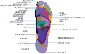 Revisiting Reflexology Concept Evidence Current Practice