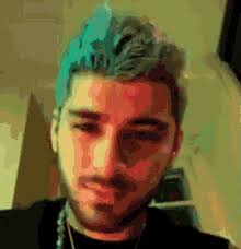 Zayn Leeyum GIFs