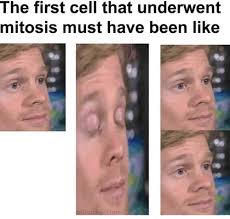 Amusing Memes And Tweets For The Chronically Bored Biology Memes Science Memes Biology Jokes