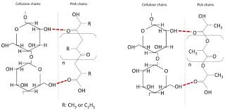 Cellulose is an international journal devoted to the dissemination of research and scientific and technological progress in the field of cellulose and related naturally occurring polymers. Molecules Free Full Text Potential Of Cellulose Microfibers For Pha And Pla Biopolymers Reinforcement
