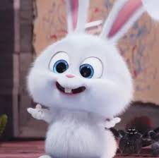 Birbirinden Guzel Kaptan Kartopu Resimleri Evcil Hayvanlarin Gizli Yasami Tavsani Resimleri Capt 2020 Cizgi Film Resmi Sevimli Duvar Kagitlari Hayvan