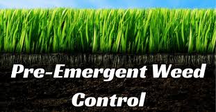 Pre-Emergent Weed Control