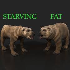3d Model 2 Bears Bony Skinny Starving Ravenous Emaciated Gaunt Grizzly Vr Ar Low Poly Cgtrader