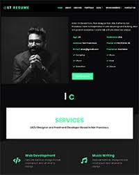 With tons of templates available and all the job board tools you could need, the jobify wordpress theme is a great option if you want to get your site up and running quickly and efficiently. Lt Resume Free Responsive Portfolio Wordpress Theme