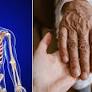 Simple Lifestyle Changes Proven to Slow Aging and Reduce Cardiovascular Risks