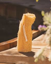 Image result for Luffa