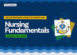 By scrubs july 4, 2018 17. Fundamentals Of Nursing Practice Test Bank 600 Questions Nurseslabs