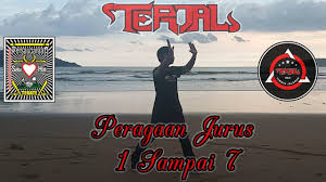 Meskipun demikian bukan siswa saja yang harus mempelajari dan memahami apa sebenarnya makna yang terkandung dalam materi persaudaraan setia hati terate atau lima panca dasar psht. Jurus Psht Ipsi 1 7 Youtube