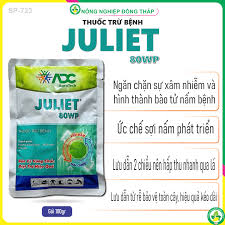 Juliet 80WP