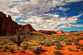 See more ideas about desert landscaping, xeriscape, landscape design. Desert Landscape Wallpapers Top Free Desert Landscape Backgrounds Wallpaperaccess