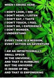 Stoner quotes 420 quotes short quotes funny memes seeds online wake and bake puff and pass smoke weed ganja. All About The Weed