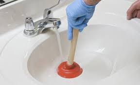 best toilet plungers and sink plungers