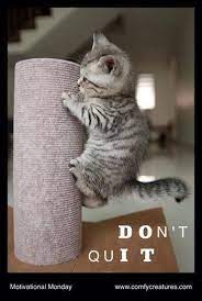 Pin On Motivational Meme S