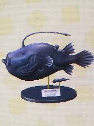 This creature may be sold directly from the inventory, listed in the player's market box, or given to villagers for requests. I Love That The Football Fish Model Includes The Tiny Male Animalcrossing