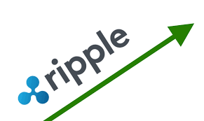 Rising tide of cryptocurrency the entire market of cryptocurrency rose from $17 billion at the start of 2017, to an all time high of $830 billion at the beginning of 2018. Ripple Becomes Largest Altcoin As Bitcoiners Issue Warnings Crypto World Network News