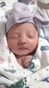 Lacey Bauer's Instagram, Twitter & Facebook