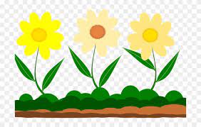 Sp models nature the tropical herbs secrets terokai rahsia. Year 2 Trip To The Garden Museum Gambar Taman Bunga Kartun Clipart 3666267 Pinclipart