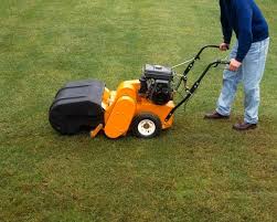 Find 190 listings related to alans lawn care in whiteville on yp.com. Alan Titchmarsh Tips On Taking Care Of Your Lawn Express Co Uk