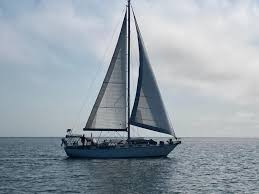 Image result for Beige 1984 UMM