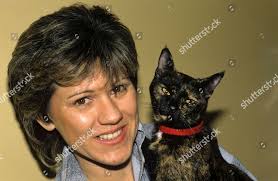 Felix Cat 新闻传媒库存照片- 库存图片| Shutterstock Editorial