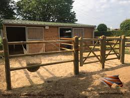 Aussenboxen Fur Pferde Pferdestalle Pferdeboxen Weidehutte Mit Fressgitter Offenstall Unterstand Pferdeboxen Pferde Stall Bauen Kleine Pferdesscheunen