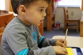 MMS October Newsletter