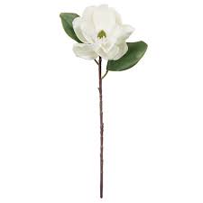 Maybe you would like to learn more about one of these? Buy The White Magnolia Stem By Ashland At Michaels