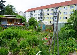 Dehner in der umgebung vom auerbach (vogtland). Goltzschtalverbund Kommunen Beschlossen Ende 2020 Einen 100 Igen Pachtzinsrucklauf