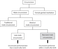 Apply ice to the area. Update On Neonatal Male Circumcision A Public Health Perspective Intechopen